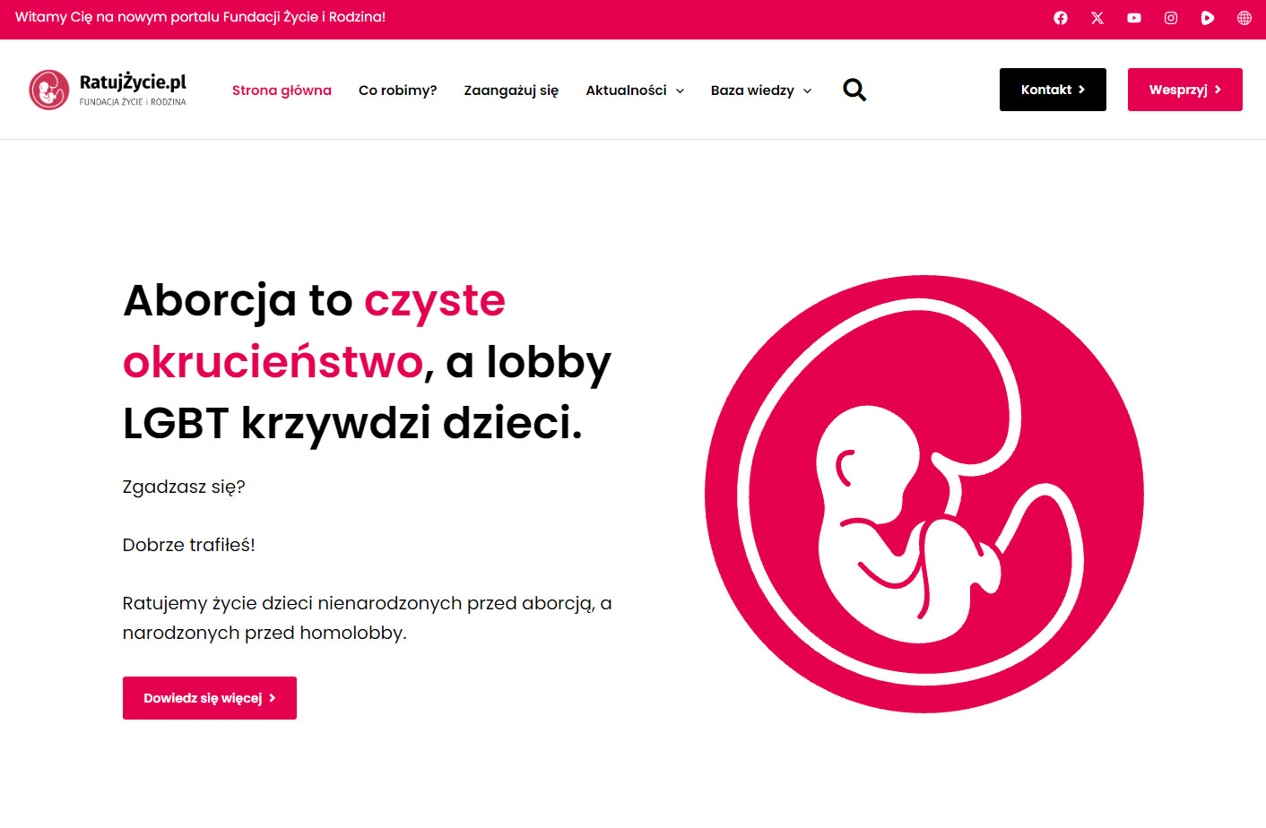 Jak wygląda działalność polskich organizacji społecznych na przykładzie Fundacji Życie i Rodzina?