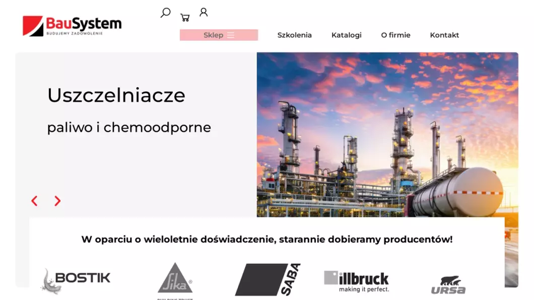 Zrzut ekranu strony